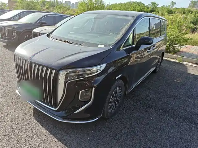 2024 Hongqi HQ9