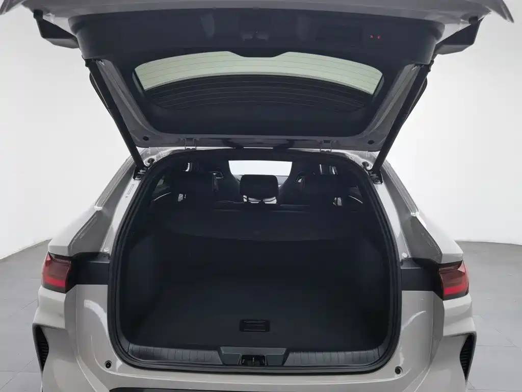BYD PLUS New Energy — миниатюра 16