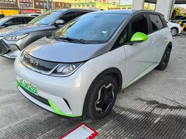 2022 BYD Dolphin