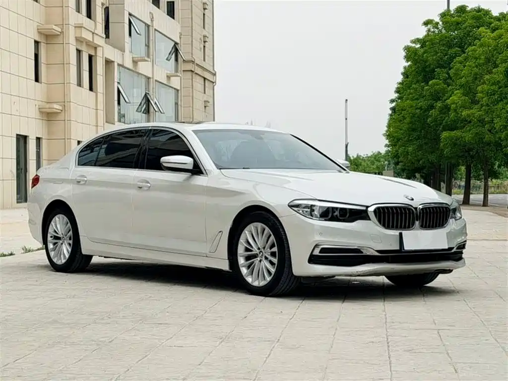 BMW 5 Series 5 2019 525Li Luxury