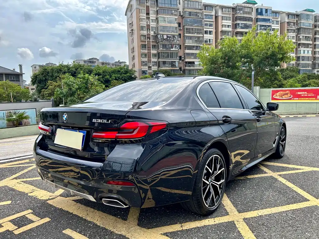 BMW 5 Series — миниатюра 15