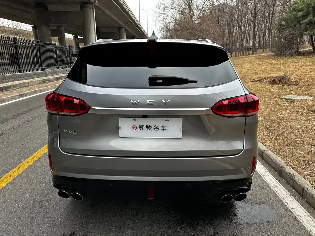 WEI PAI WEI BRAND VV6