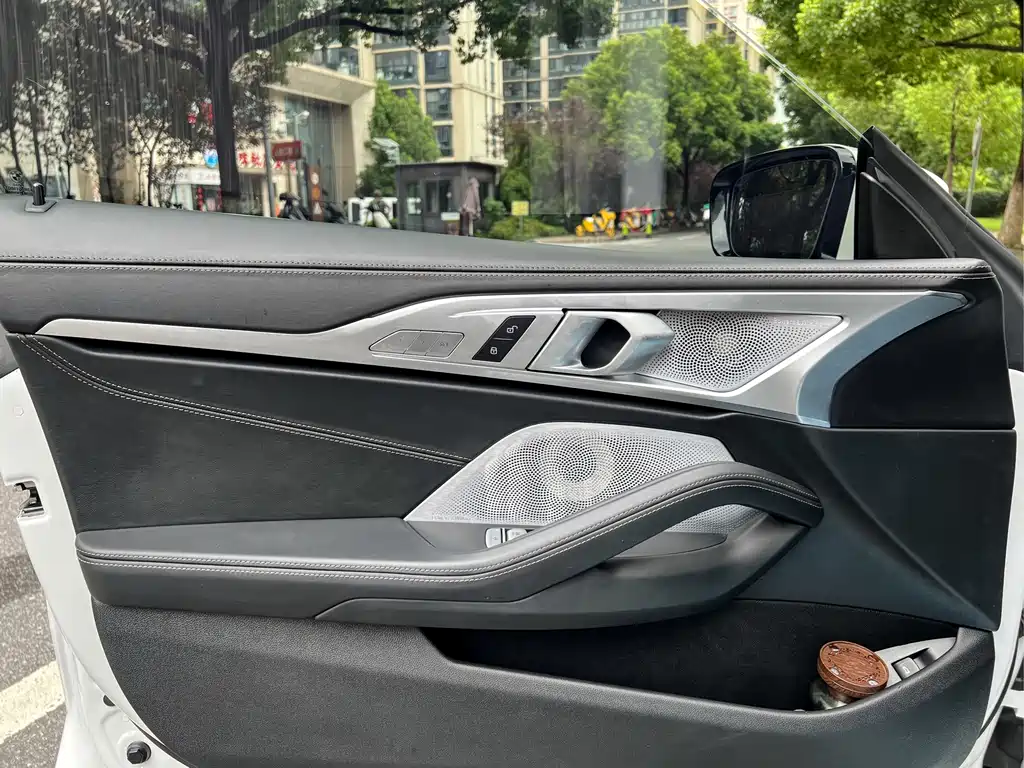 BMW 8 Series — миниатюра 14