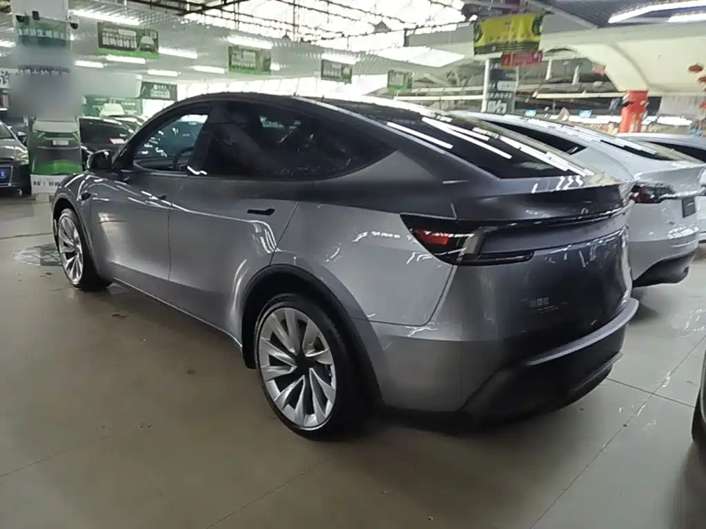 Tesla Model Y — миниатюра 5