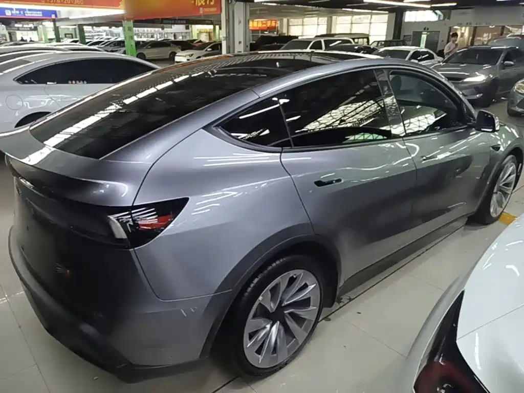 Tesla Model Y — миниатюра 7