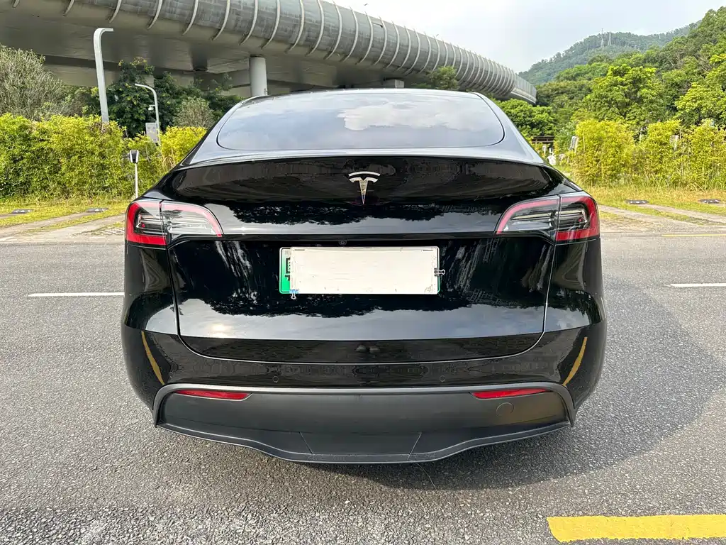 Tesla Model Y — миниатюра 5