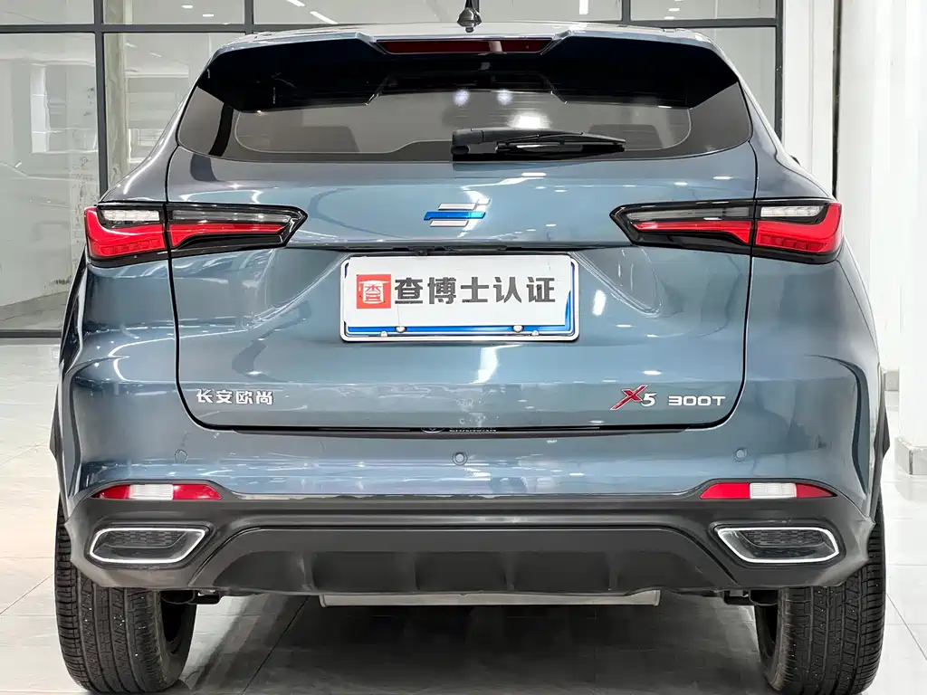 Oshan Oushang X5 — миниатюра 8