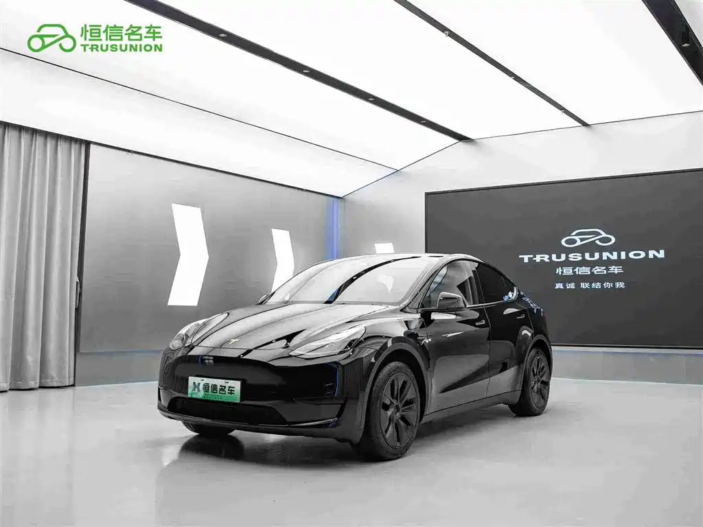 Tesla Model Y — миниатюра 3