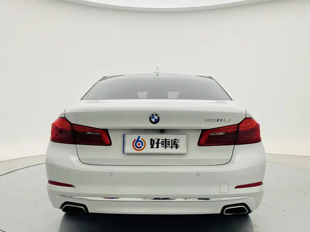 BMW 5 Series 5 2020 530Li Premium Luxury