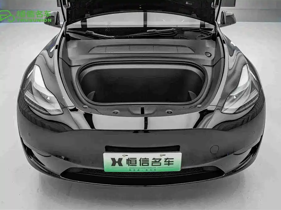 Tesla Model Y — миниатюра 21