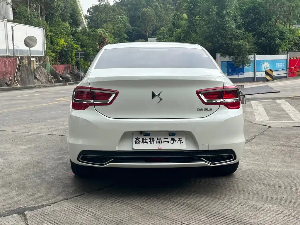 DS DS 5LS — миниатюра 5