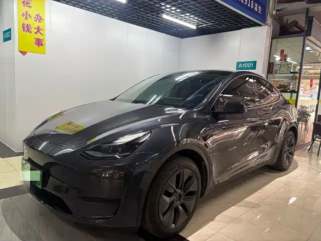 TESLA MODEL Y 2024
