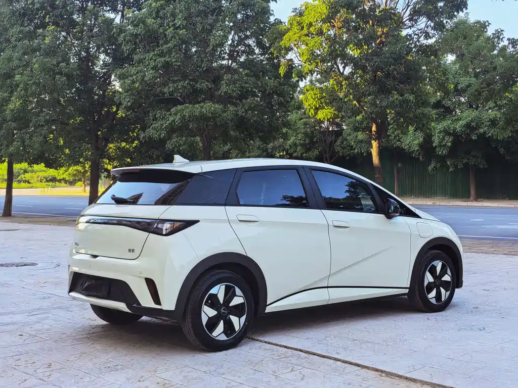 BYD Dolphin 2025 420km Freedom