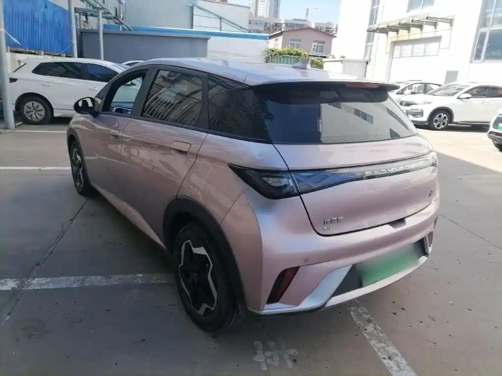 BYD Dolphin — миниатюра 5
