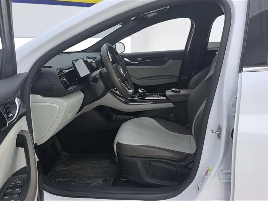 BYD Qin Plus PLUS 2024 DM-i 55KM Lead