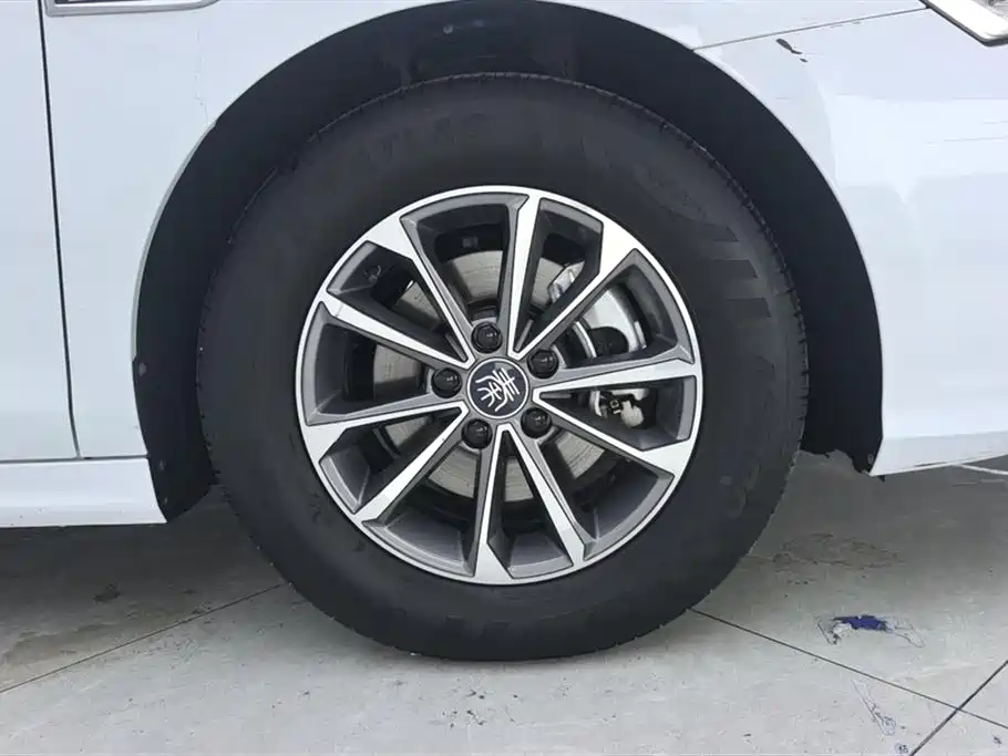 BYD Qin Plus PLUS 2024 DM-i 55KM Lead