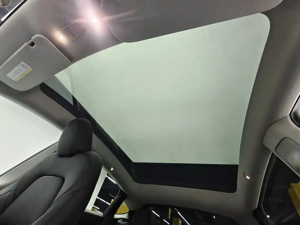 Tesla Model Y — миниатюра 7