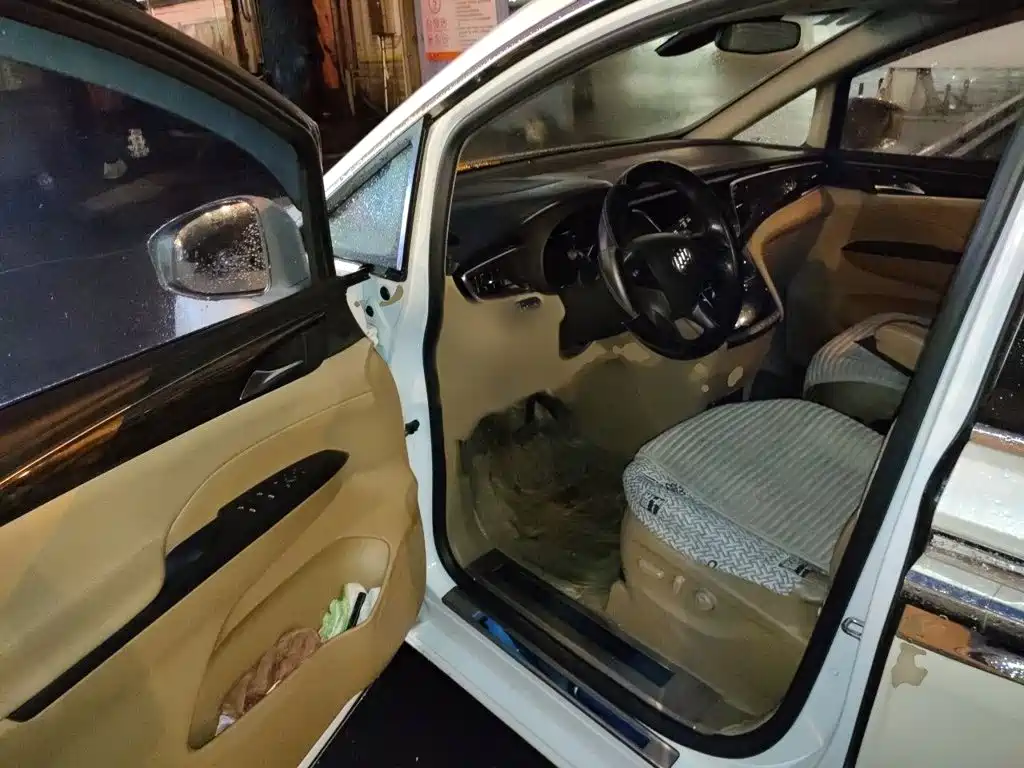 Buick GL8 — миниатюра 14