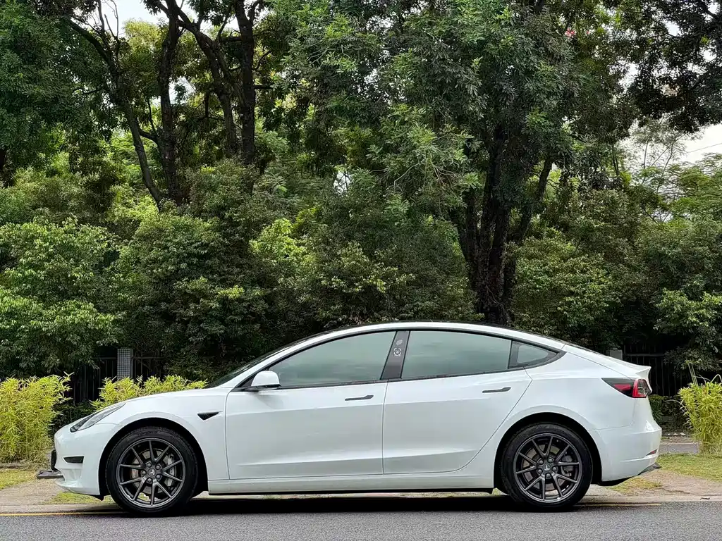 Tesla Model 3 — миниатюра 3