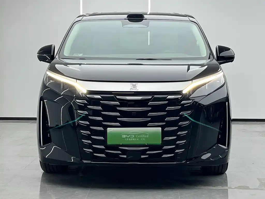 BYD Xia — миниатюра 2
