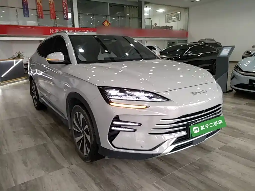 BYD PLUS New Energy — миниатюра 4