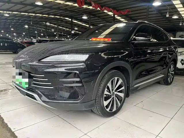 BYD SONGJIANG NEW ENERGY 2024