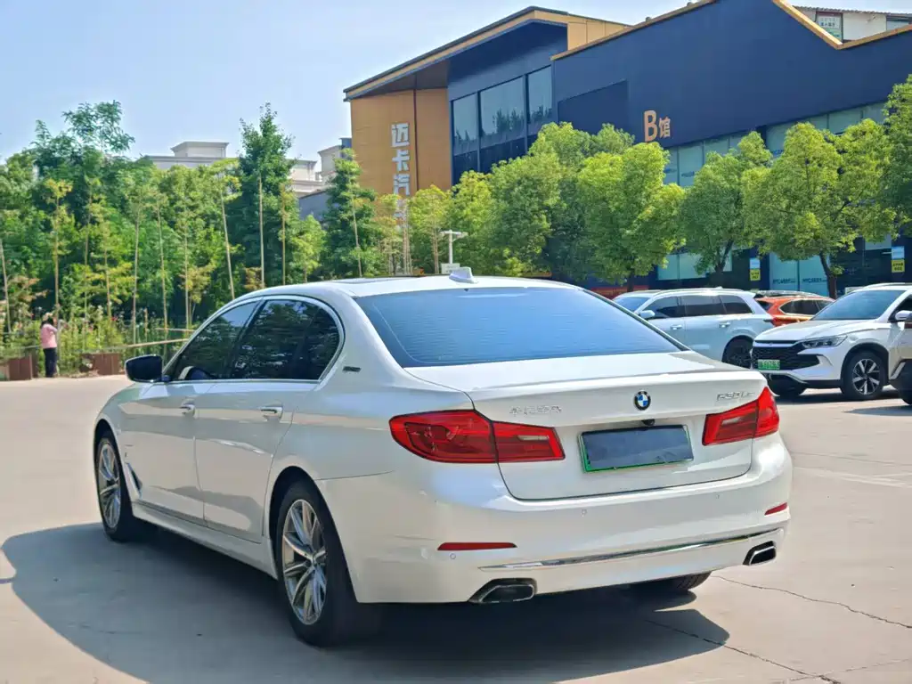 BMW 5 Series 5 2018 530Le Luxury