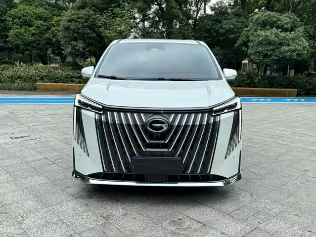 Trumpchi M 8 2024 400 T — фото 1