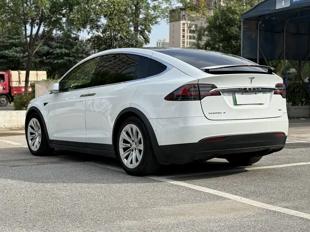 Tesla Model X — миниатюра 10