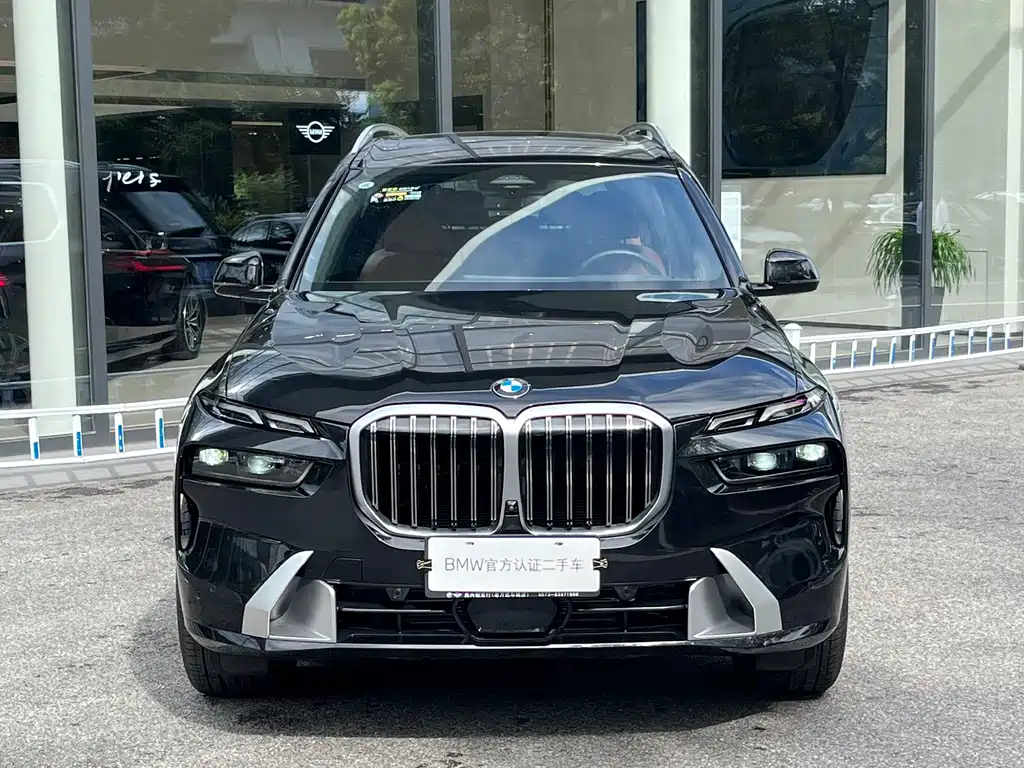 BMW X7 — миниатюра 3