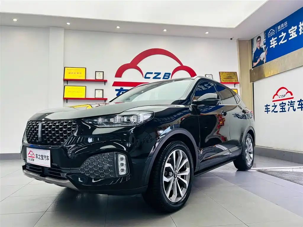 WEI PAI WEI BRAND VV6