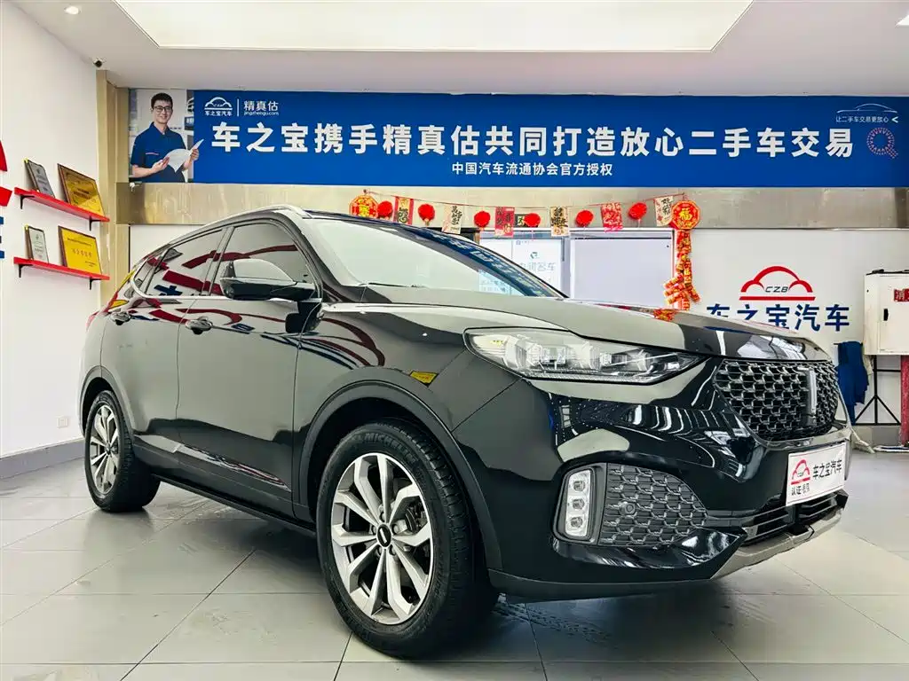 WEI PAI WEI BRAND VV6