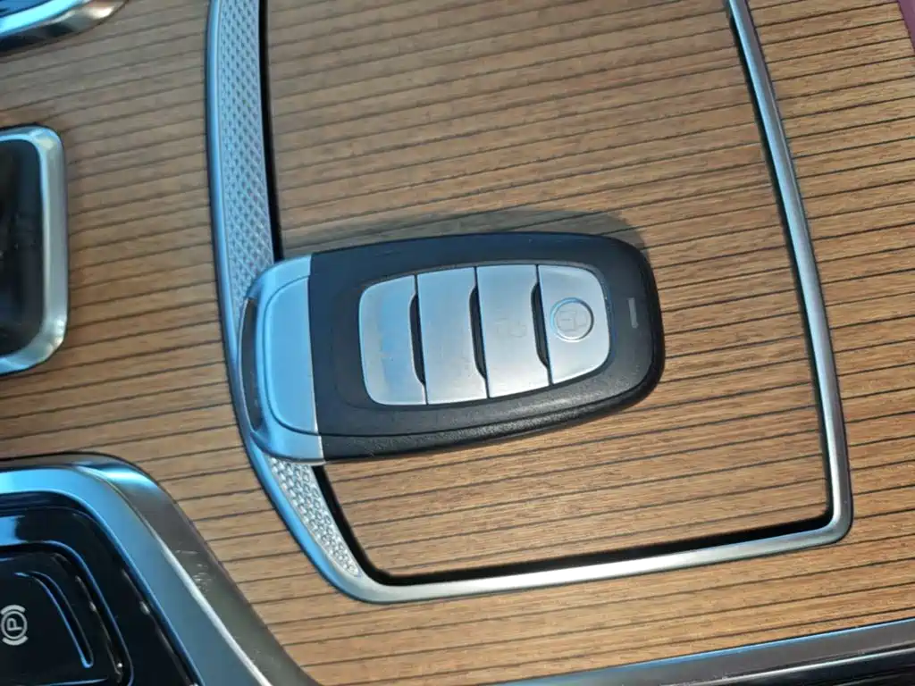 Hongqi Hongqi E-HS9 — миниатюра 9