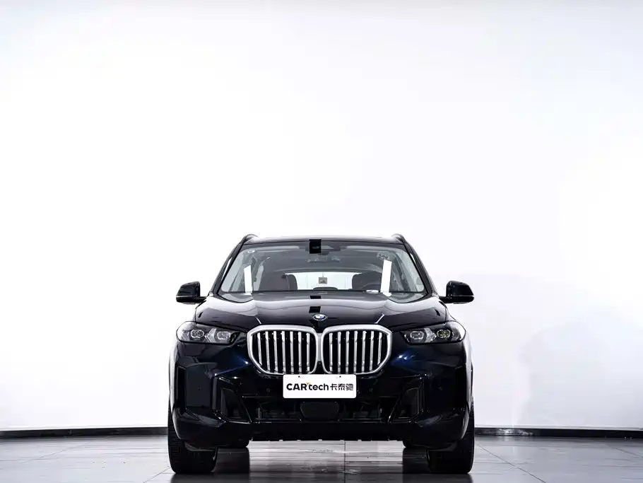 BMW X5 — миниатюра 4