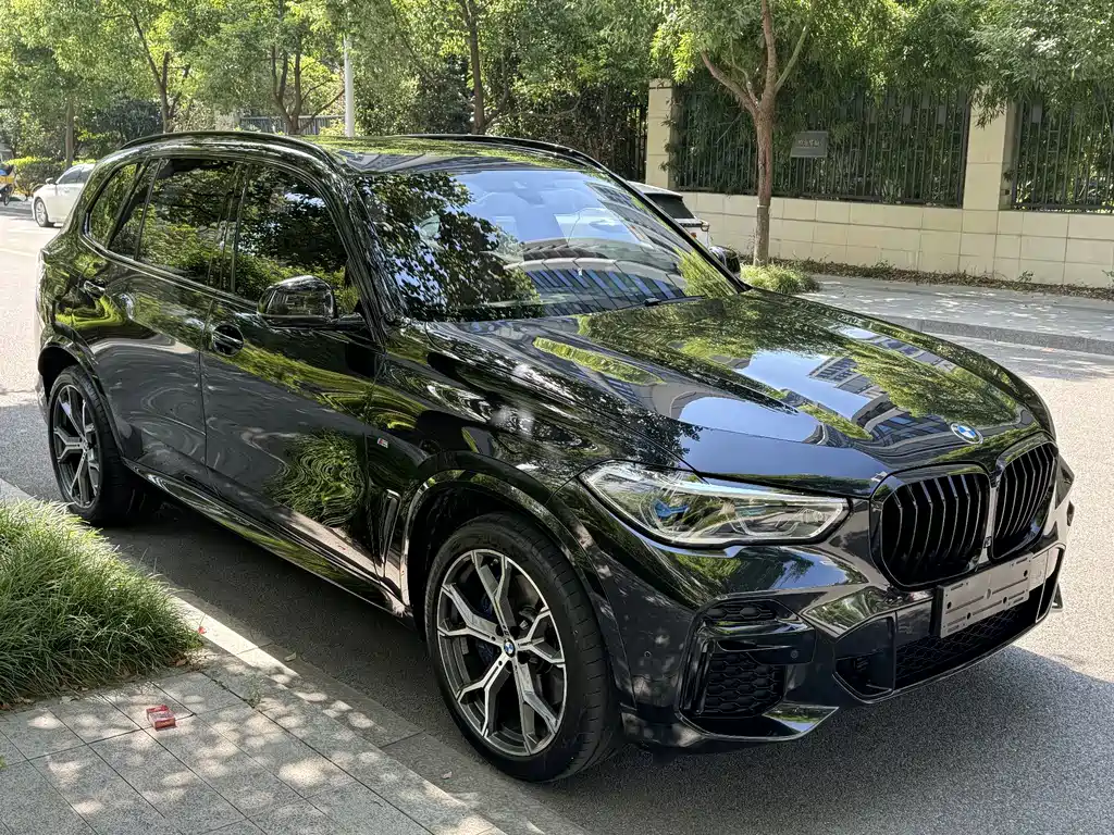 BMW X5 — миниатюра 11