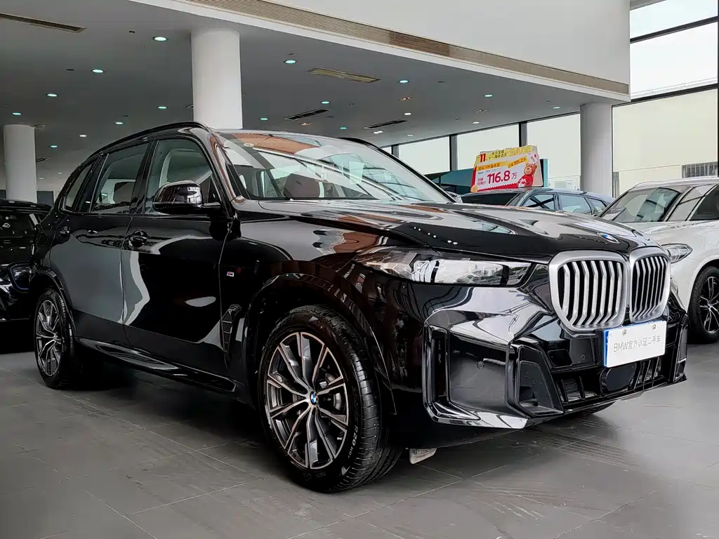 BMW X5 — миниатюра 5