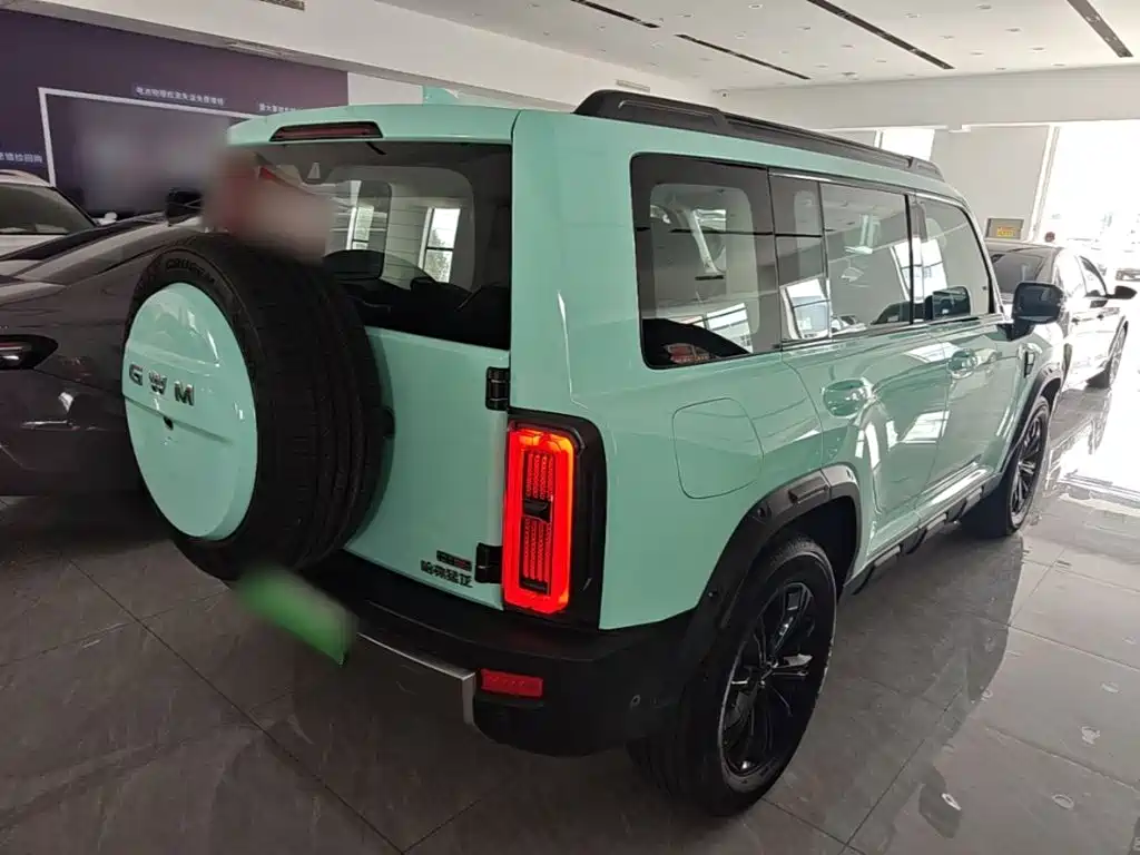 Haval Menglong New Energy — миниатюра 7