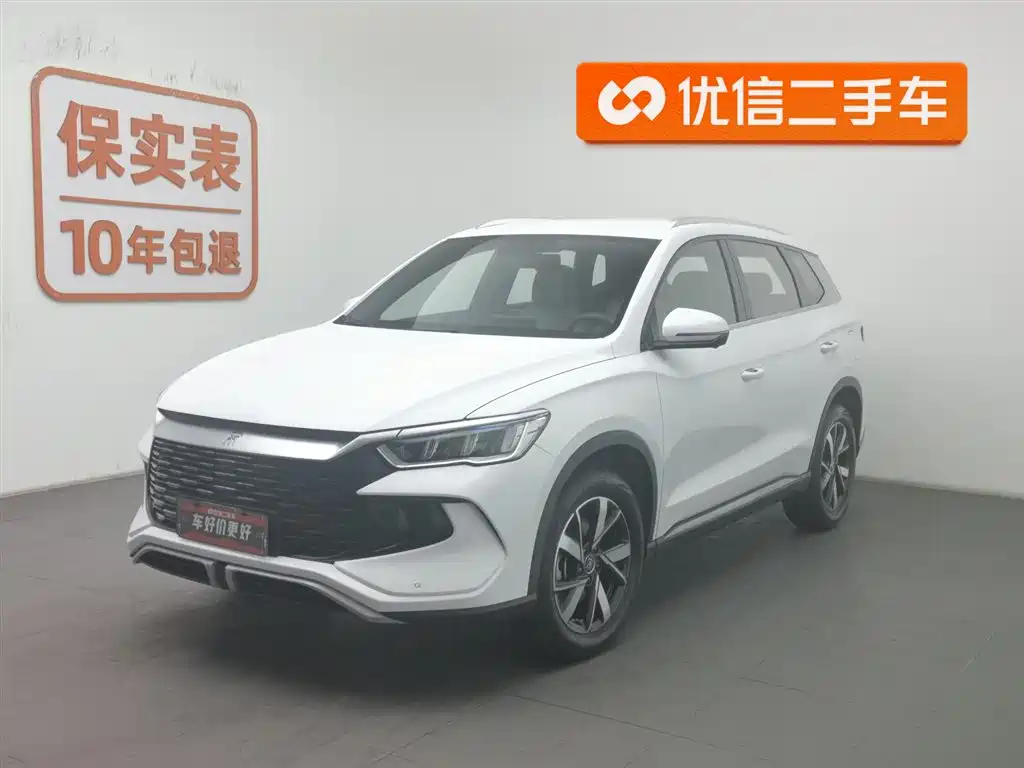 Byd Pro New Energy 2024