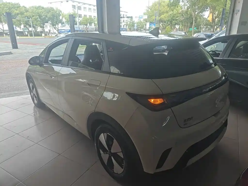 BYD Dolphin — миниатюра 5