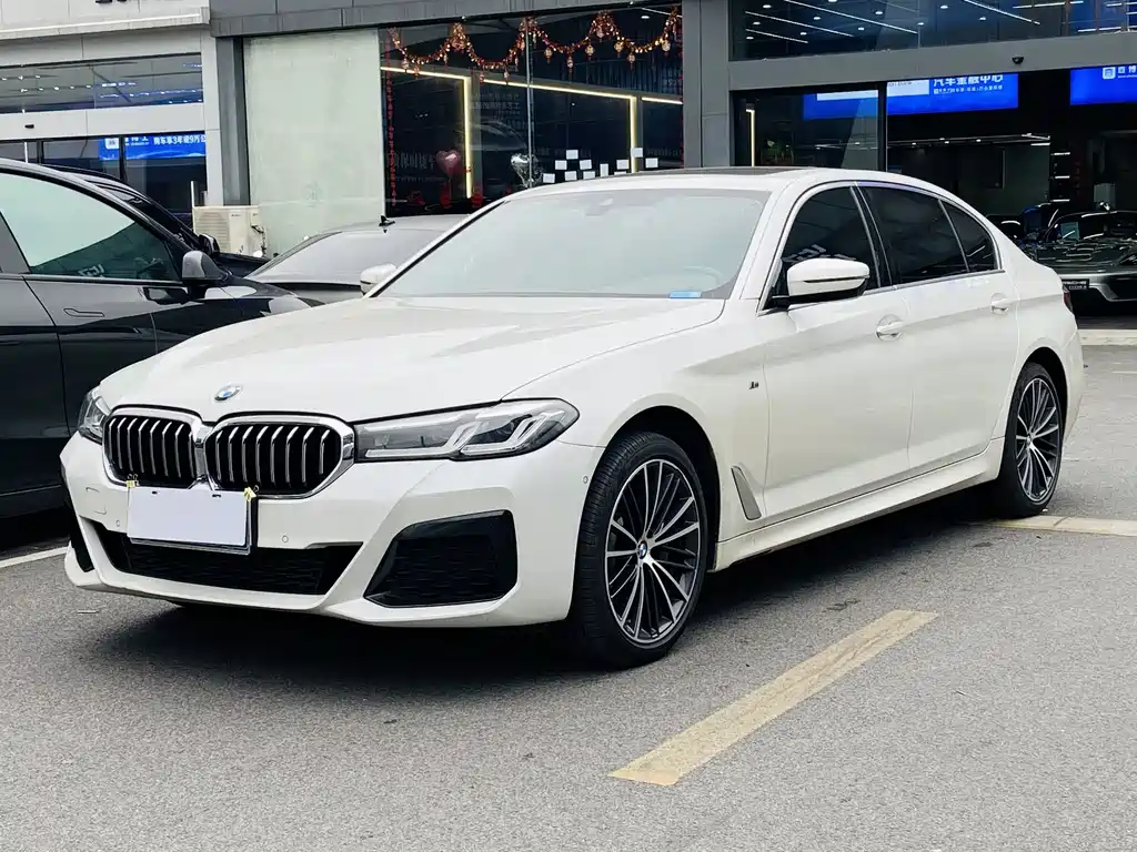 BMW 5 SERIES