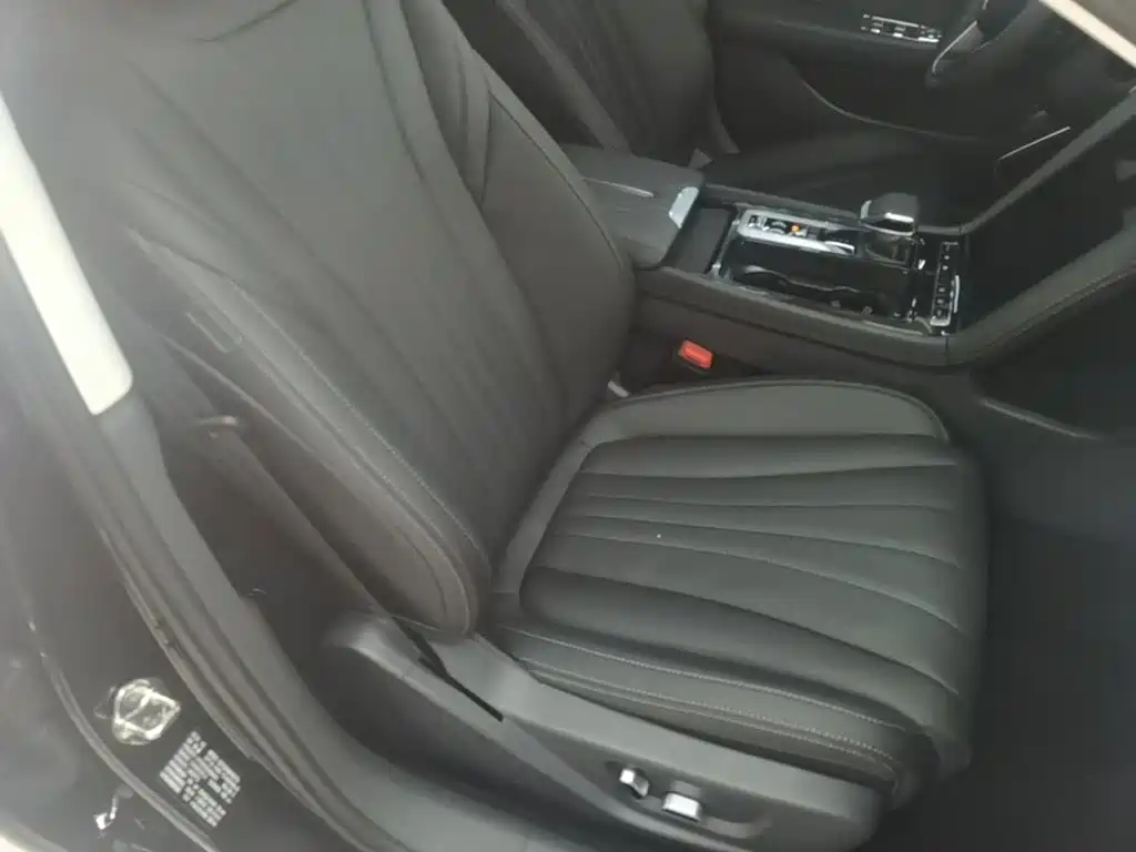 Hongqi Hongqi H5 PHEV — миниатюра 25