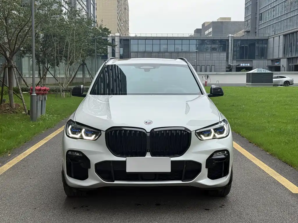 BMW X5 (Import) — миниатюра 2