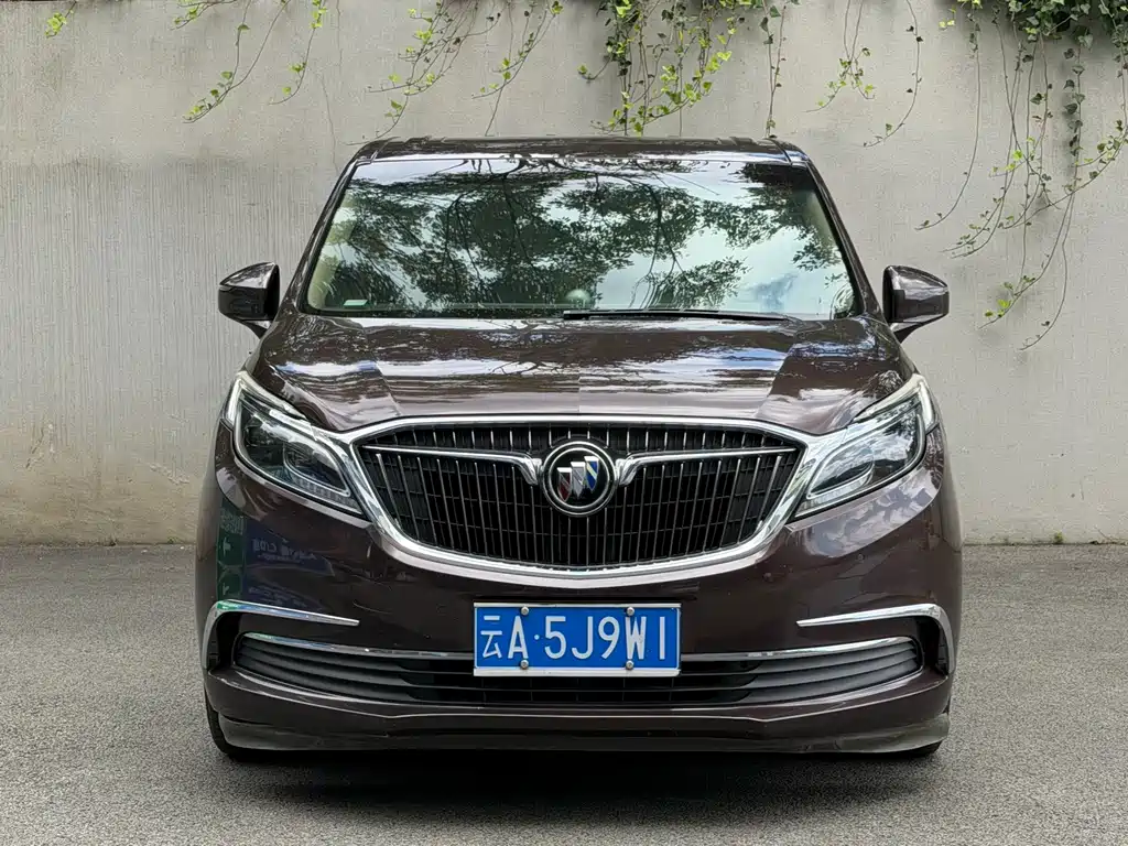 Buick GL8 — миниатюра 2