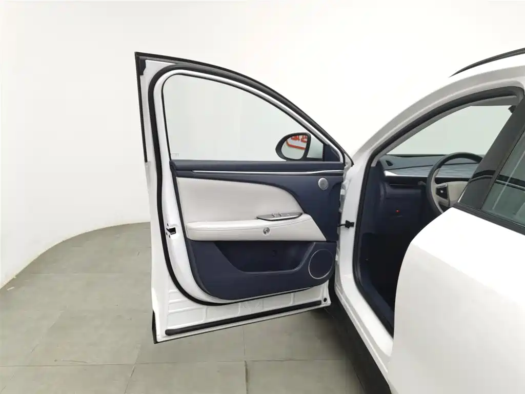 ARCFOX EXTREME FOX POLAR FOX ALPHA T5