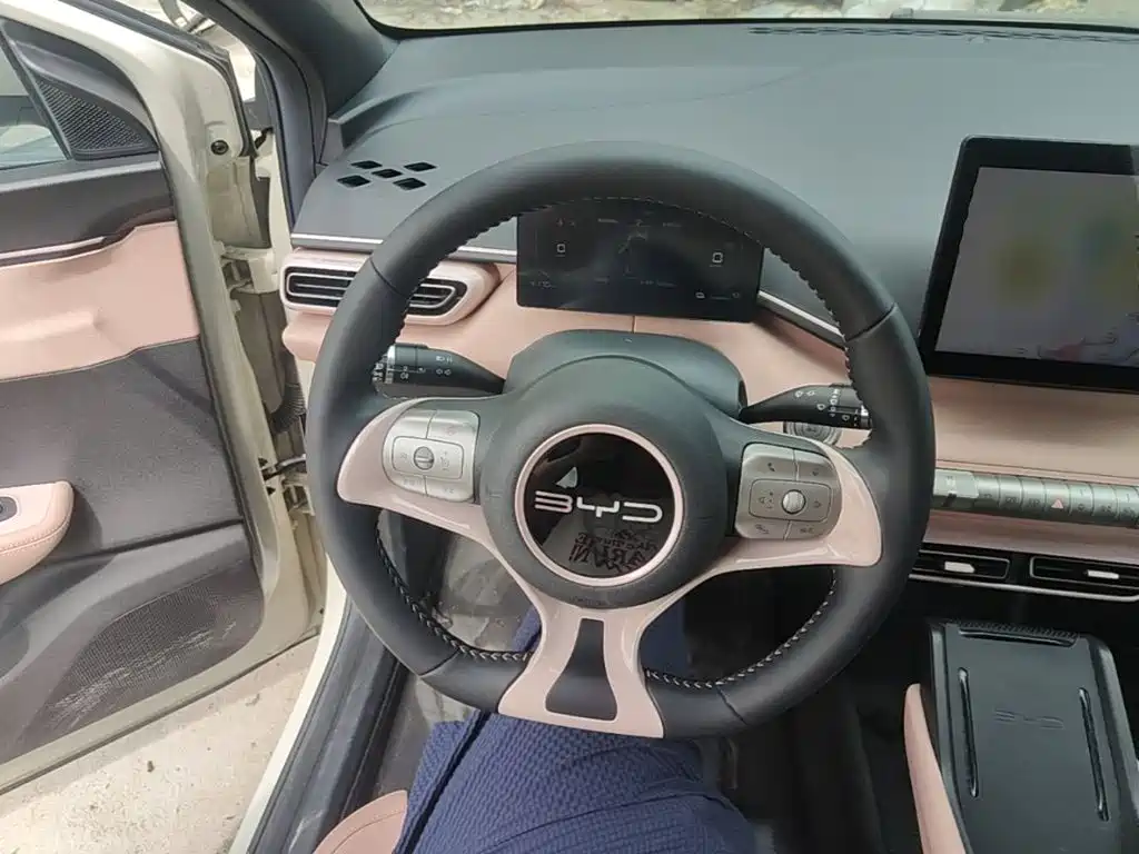 BYD Seagull — миниатюра 11