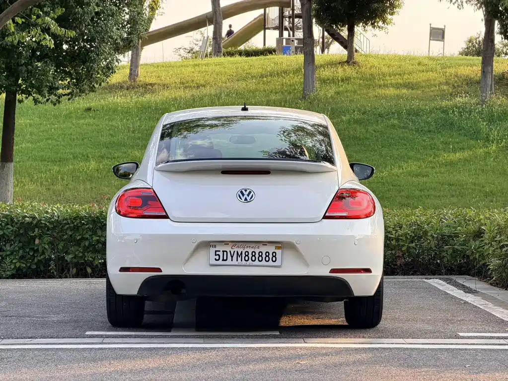 Volkswagen Beetle — миниатюра 24
