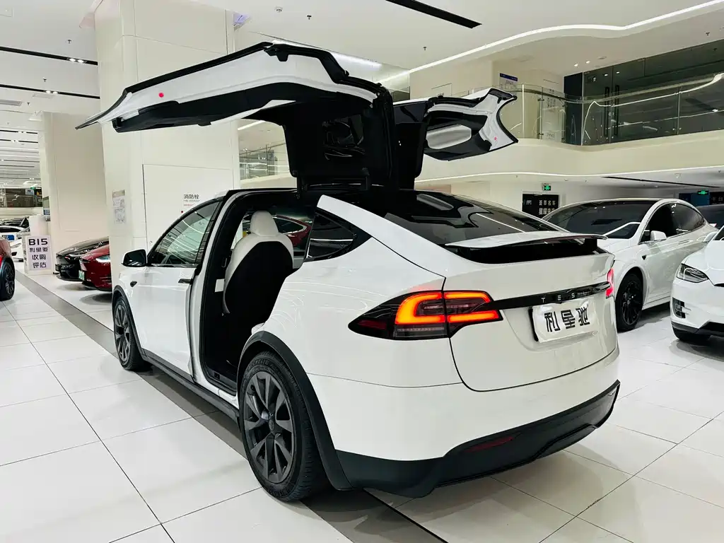 Tesla Model X — миниатюра 4