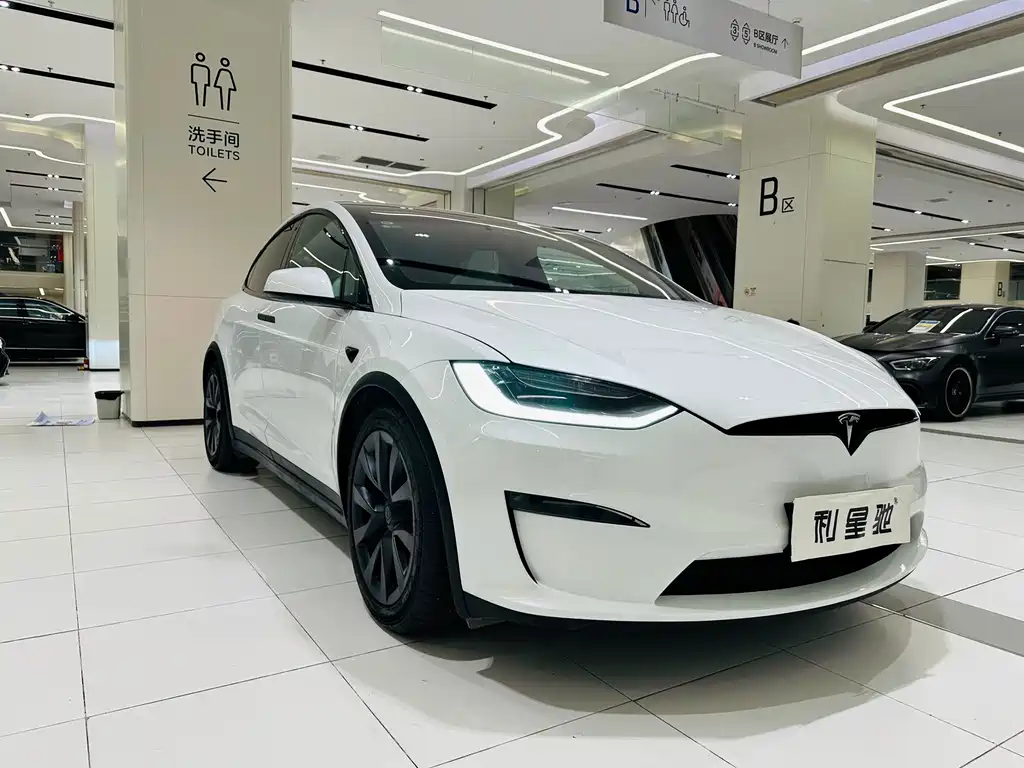 Tesla Model X — миниатюра 16