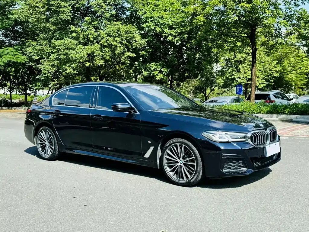 BMW 5 Series 2021 530Li Leading Type M Sport Package