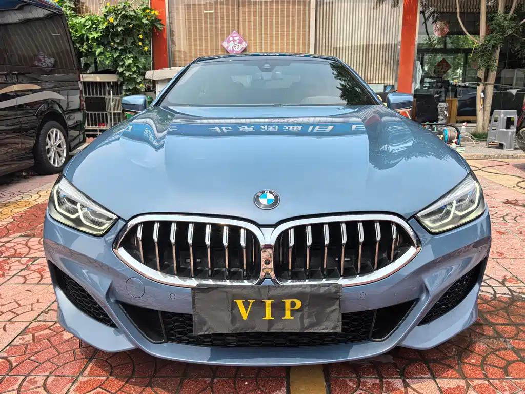 BMW 8 SERIES